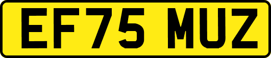 EF75MUZ
