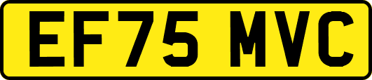 EF75MVC