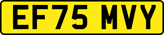 EF75MVY