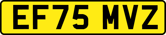 EF75MVZ