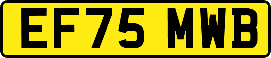 EF75MWB