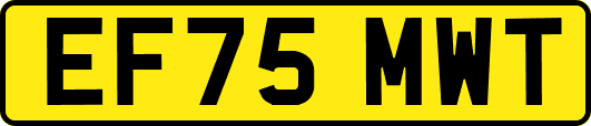 EF75MWT