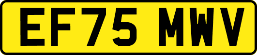 EF75MWV