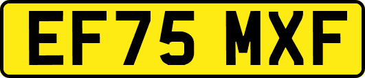 EF75MXF