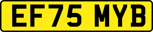 EF75MYB