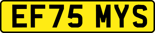 EF75MYS