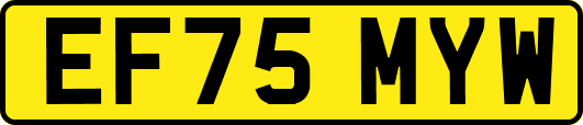 EF75MYW