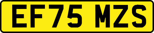 EF75MZS