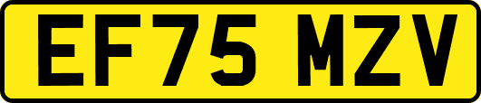 EF75MZV