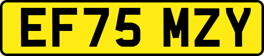EF75MZY