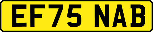 EF75NAB