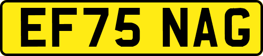 EF75NAG