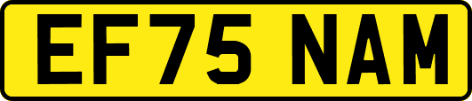 EF75NAM