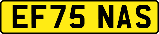 EF75NAS