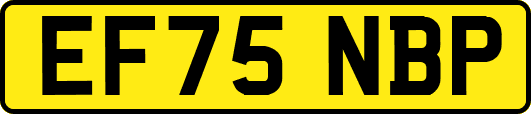 EF75NBP