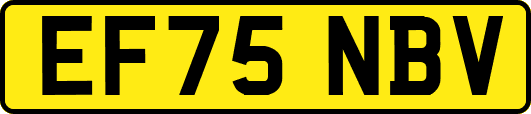 EF75NBV