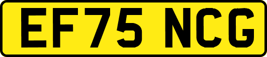 EF75NCG