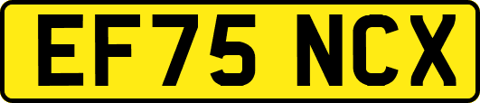 EF75NCX
