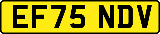 EF75NDV