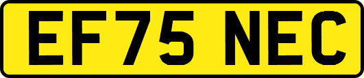 EF75NEC
