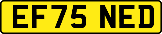 EF75NED