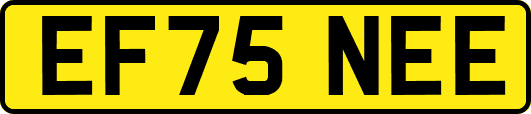 EF75NEE