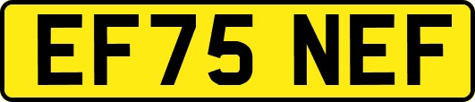 EF75NEF
