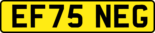EF75NEG