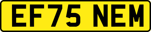 EF75NEM