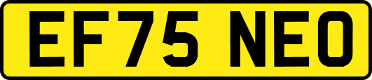 EF75NEO