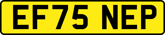 EF75NEP