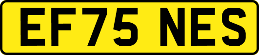 EF75NES