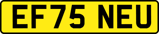 EF75NEU