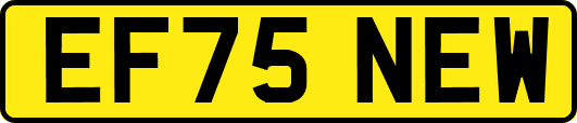 EF75NEW