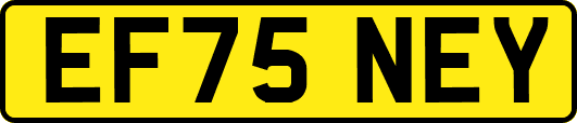 EF75NEY