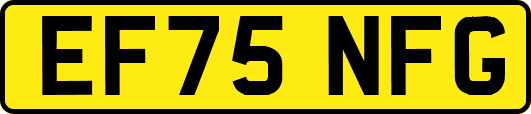 EF75NFG