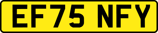 EF75NFY