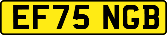 EF75NGB