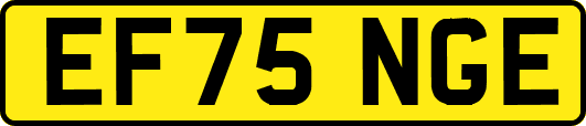 EF75NGE