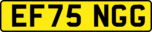 EF75NGG