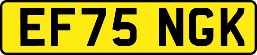 EF75NGK