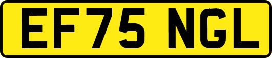 EF75NGL