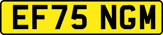 EF75NGM