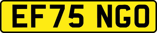 EF75NGO