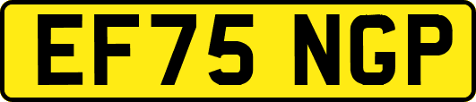 EF75NGP