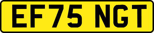EF75NGT