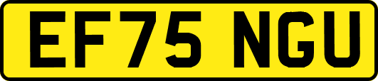 EF75NGU