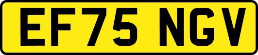 EF75NGV