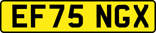 EF75NGX
