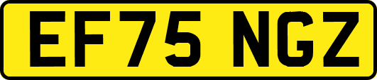 EF75NGZ